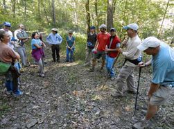 walk in the wood educational event